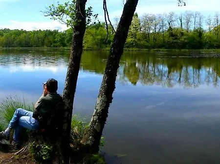 The - Casa Holiday home