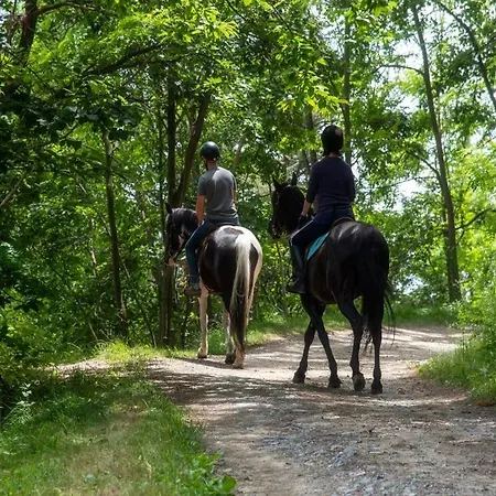 The - Casa Holiday home